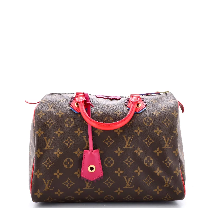 Speedy Handbag Limited Edition Totem Monogram Canvas 30